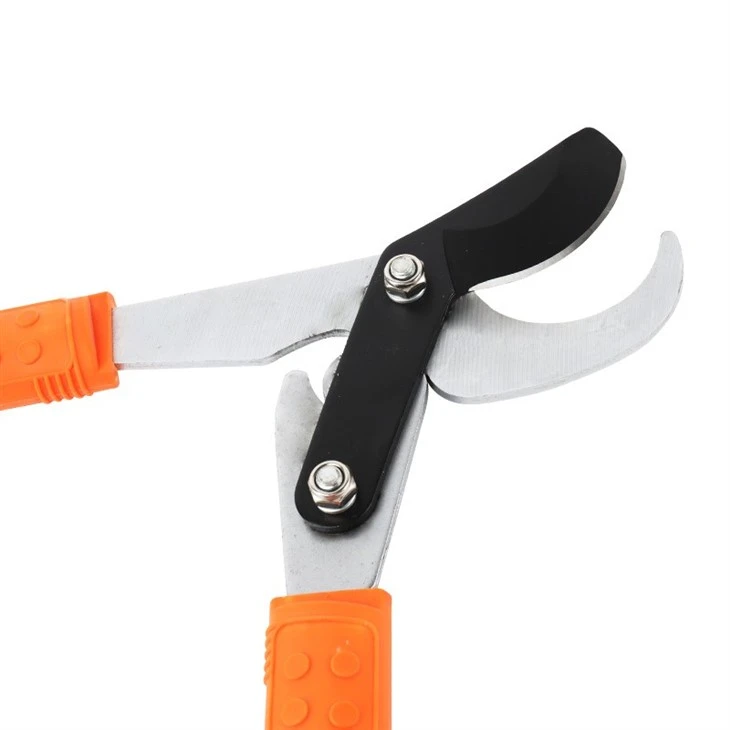 By-pass Lopping Shears